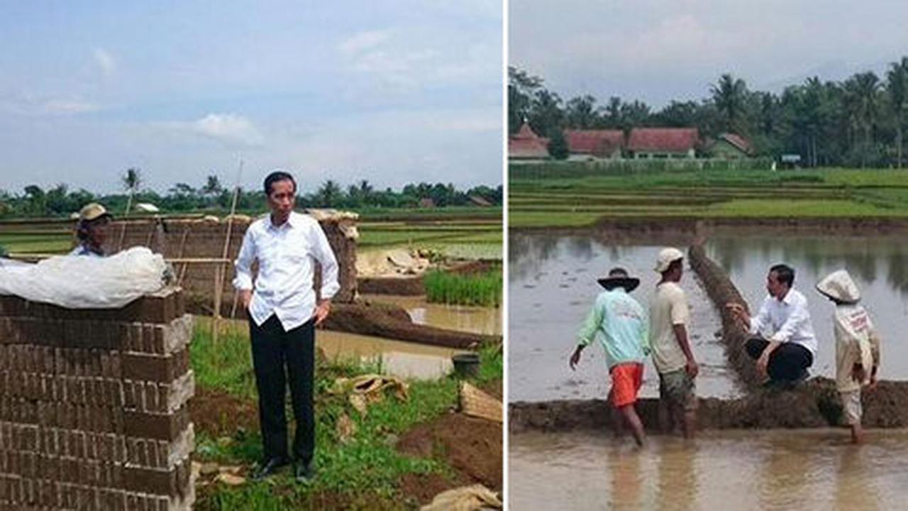 Jokowi ubah sistem subsidi petani, tak lagi dalam bentuk pupuk