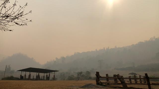 Gajah-Gajah Wisata Thailand Hidup Kelaparan Akibat COVID-19