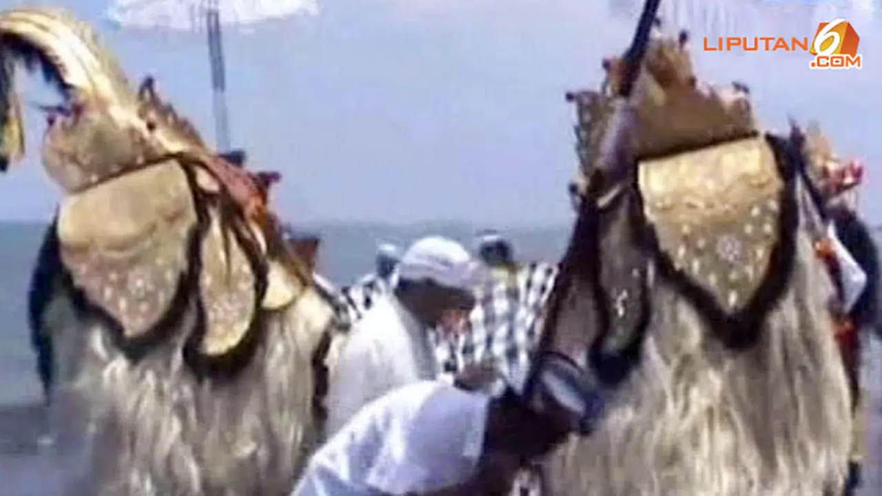 (Lip6siang) Ritual Melasti Jelang Nyepi