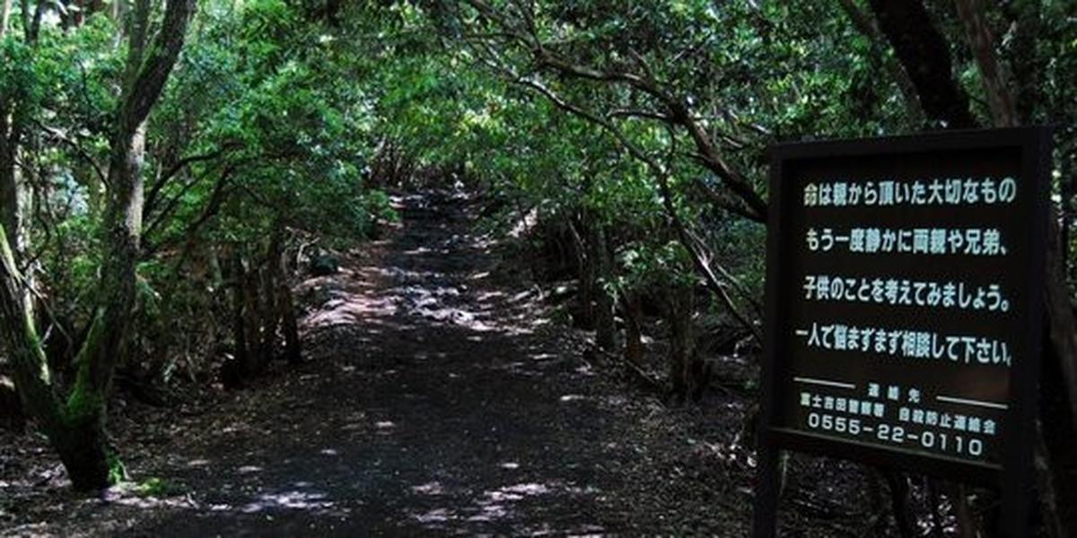 Aokigahara, Japan