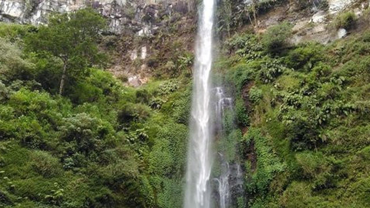 Telusuri labirin hijau dan segarnya air terjun Coban Rondo