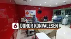 donor konvalesen