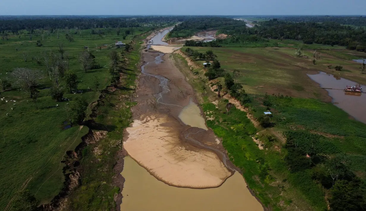 Foto udara dari menunjukkan bentangan Sungai Solimoes yang kering di daerah pedesaan negara bagian Amazonas, Brasil, Sabtu, 21 Oktober 2023. (AP Photo/Edmar Barros)