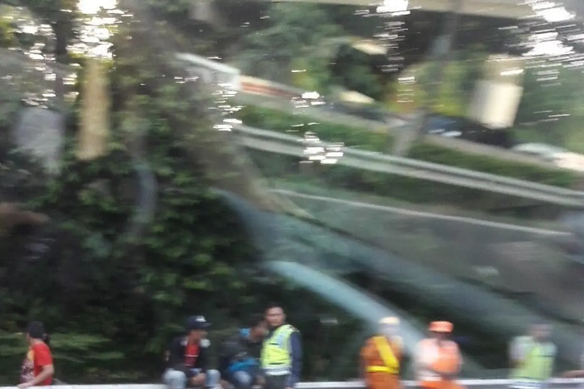  Sebanyak 10 ekor sapi terlepas dari truk yang sedang melintasi KM 10 Tol Jagorawi-Bogor