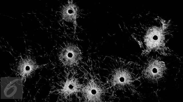 Penembakan Senjata Api