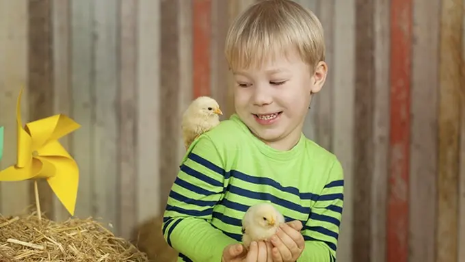 Ilustrasi. | Foto: copyright thinkstockphotos.com