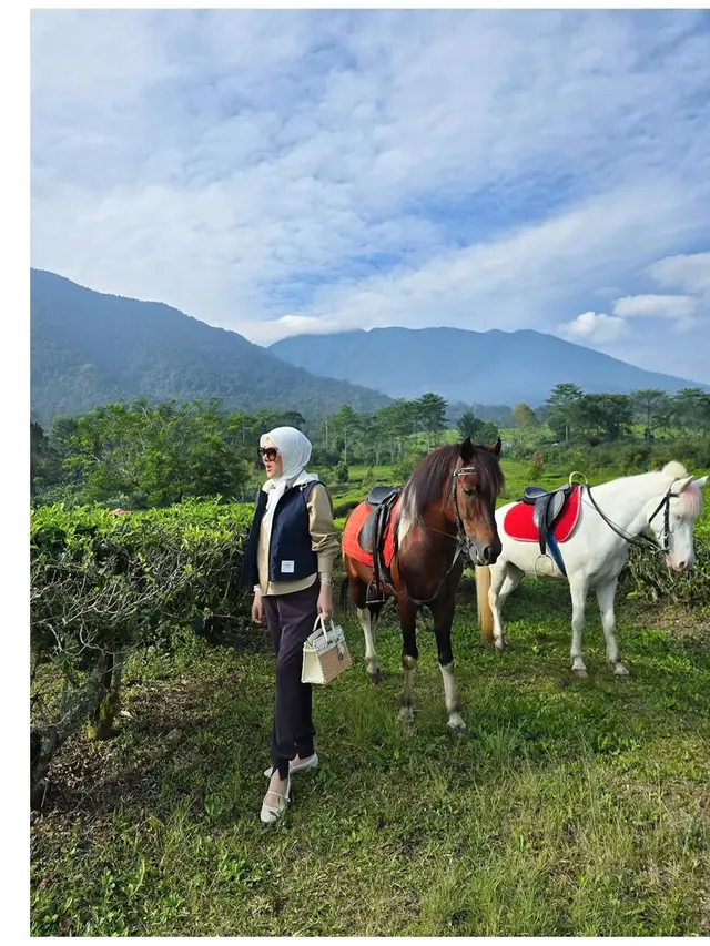 6 Potret Piknik Mewah Syahrini dan Reino Barack, Nikmati Sarapan di Kebun Teh