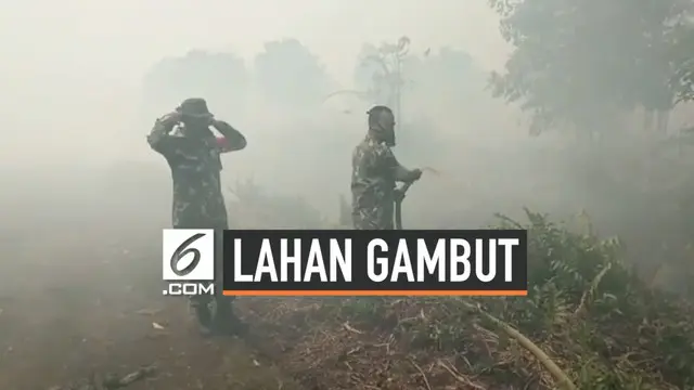 Musim kemarau yang melanda Kabupaten Mempawah, Kalimantan Barat membuat 80 hektare lahan gambut terbakar. Terbatasnya peralatan pemadaman membuat api dengan cepat meluas dan merambat ke lahan perkebunan kelapa sawit.