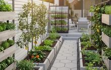 7 Desain Kebun Sayur Belakang Rumah Bergaya Modern dan Hemat Ruang, Inspirasi Produktif di Lahan Terbatas
