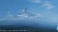 Gunung Semeru Erupsi 10 Kali dalam Sehari, Selasa 9 Juni 2026