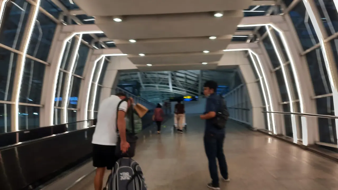 Deportasi Bule Rusia