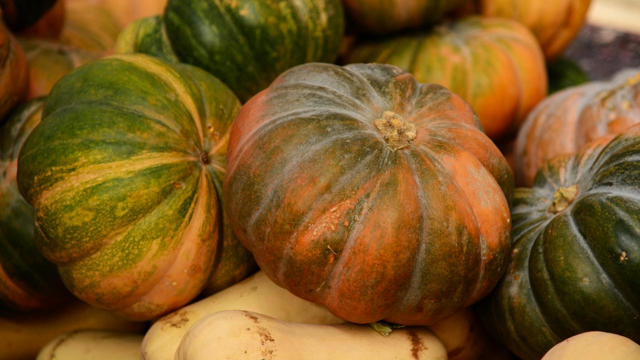 Mengenal 3 Jenis Labu yang Jarang Orang Tahu Namanya, dari Labu Parang hingga Butternut Pumpkin yang Kaya Nutrisi