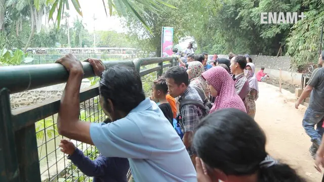 Kebun binatang Ragunan menjadi salah satu tempat favorit untuk menghabiskan libur natal bersama keluarga