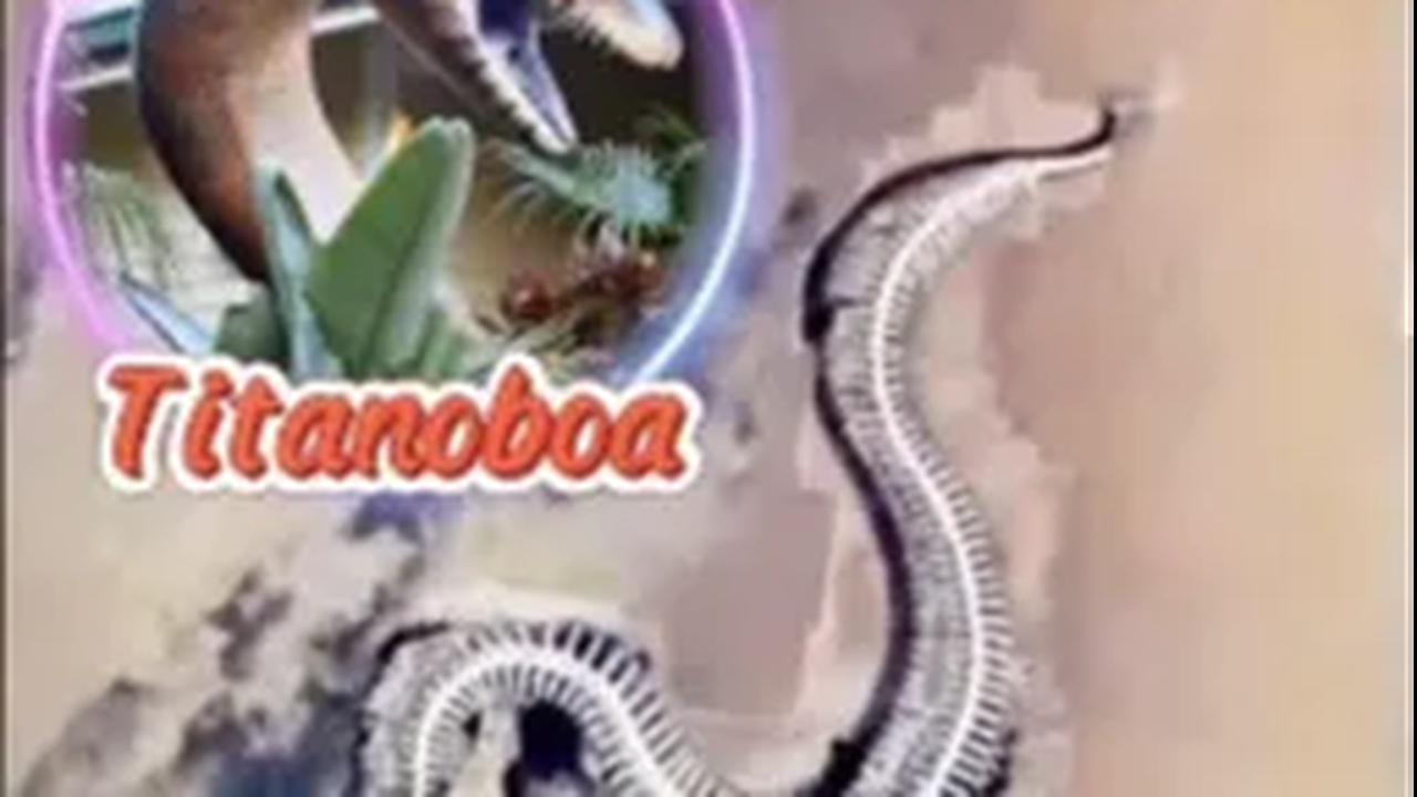 Benarkah Ular Titanoboa?