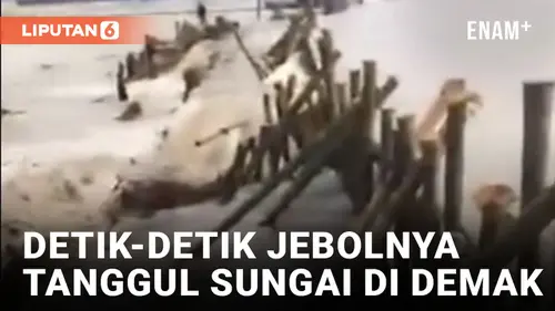 VIDEO: Tanggul Sungai Jratun di Demak Jebol Saat Proses Perbaikan