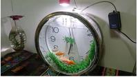Aquarium anti mainstream (Sumber: Brilio)