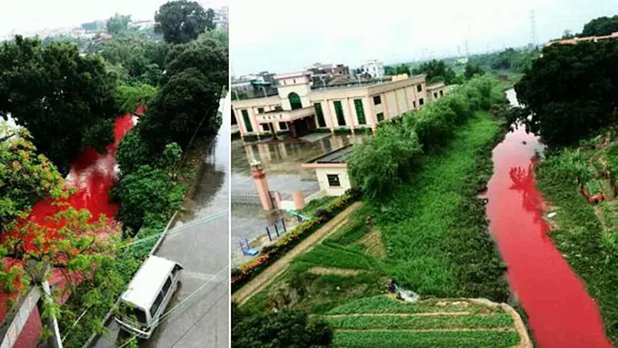 Foto: copyright stomp.com.sg