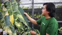 Plan the Plants Raih Juara I untuk Dua Kategori Kontes Tanaman Hias Bergengsi