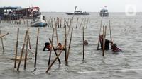 Hari ini, Rabu (22/1/2024), lebih dari 3.000 personel gabungan bersama nelayan setempat secara serentak membongkar pagar laut. (Magang/Liputan6.com/Muhammad Rizal)