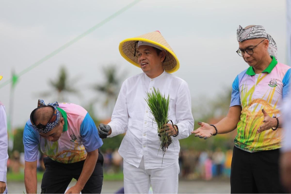 dedi mulyadi
