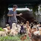 Zhou Yusong dikenal sebagai "Guardian of Dogs" dikota asalnya Zhengzhou,China menghabiskan 8 tahun terakhir untuk menyelamatkan anjing liar