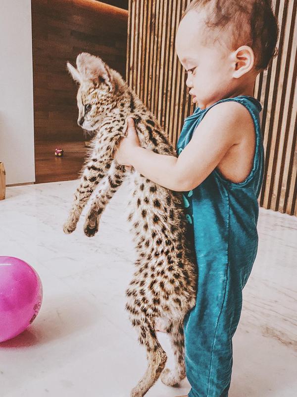 Niko Al Hakim kerap kali mengunggah foto Xabiru Oshe Al Hakim bersama hewan peliharaannya. Ia sengaja mengajarkan Xabiru untuk peduli hewan sejak kecil. (Liputan6.com/IG/okintph)