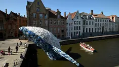 Sebuah perahu wisatawan berlayar melewati instalasi patung paus yang ditampilkan di sungai Brugges, Belgia, Sabtu (14/7). Patung paus berukuran 12 meter itu terbuat dari 5 ton sampah plastik yang mengambang di Samudra Pasifik dan Atlantik. (AFP/JOHN THYS)
