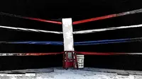 Komnas HAM Siap Selidiki Insiden `Tinju Berdarah` Nabire