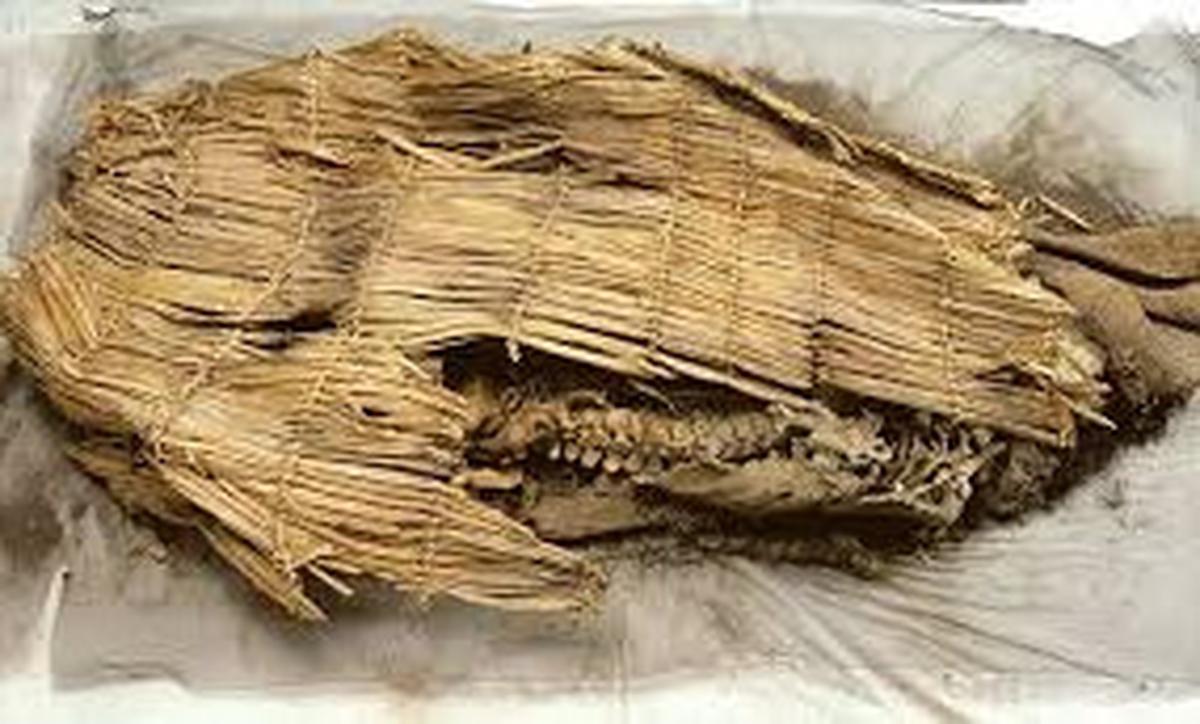 mumi tertua di dunia