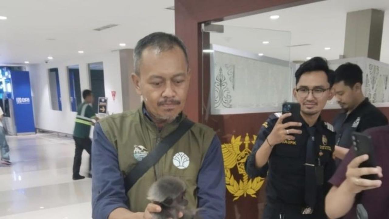 Kementerian Kehutanan Gagalkan Penyelundupan Satwa Liar Endemik ke Oman