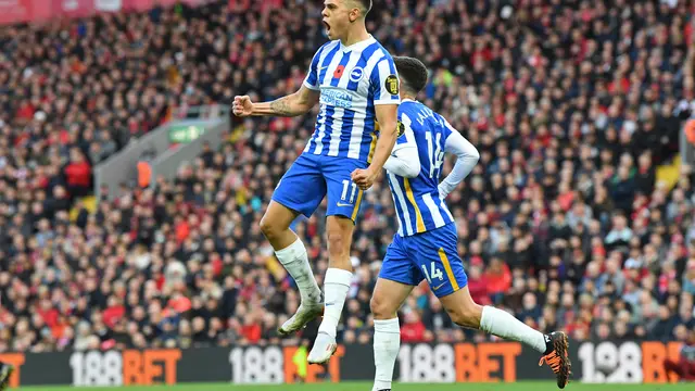 Brighton and Hove Albion, Liverpool, Premier League