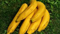 Ilustrasi pisang. (Gambar oleh Alexas_Fotos dari Pixabay)