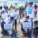 Kementerian Lingkungan Hidup Pulihkan Ekosistem Mangrove di NTB