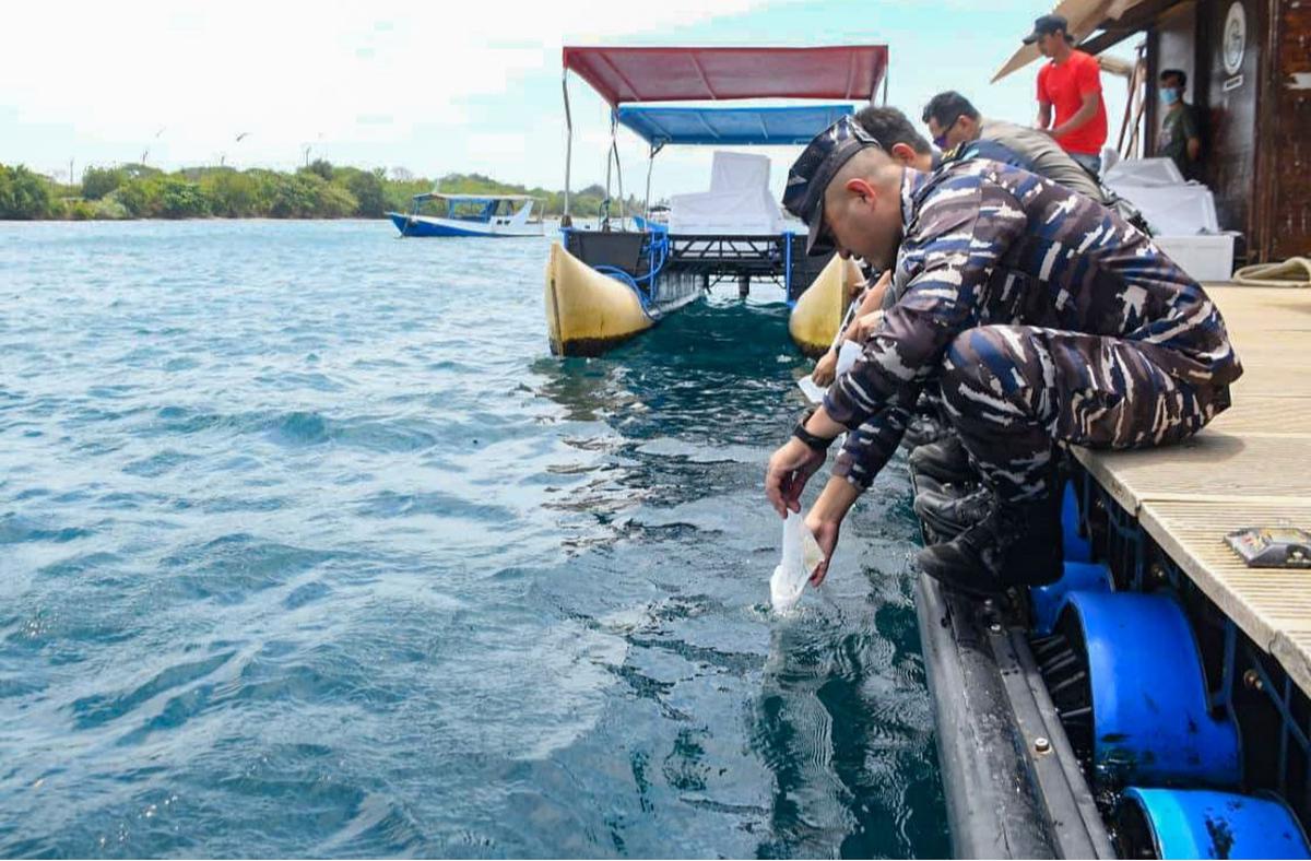 FOTO: TNI AL Gagalkan Penyelundupan 85 Ribu Benih Lobster di Banyuwangi