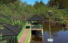 Punya Sekolah Tinggi Ilmu Beruk, Intip Fakta Unik Desa Wisata Apar di Pariaman