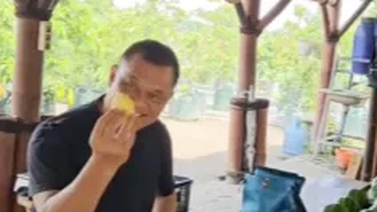 Mantan Panglima TNI Jenderal Gatot Diajak Keliling Kebun, Makan Durian Musang King lalu Petik Alpukat Super