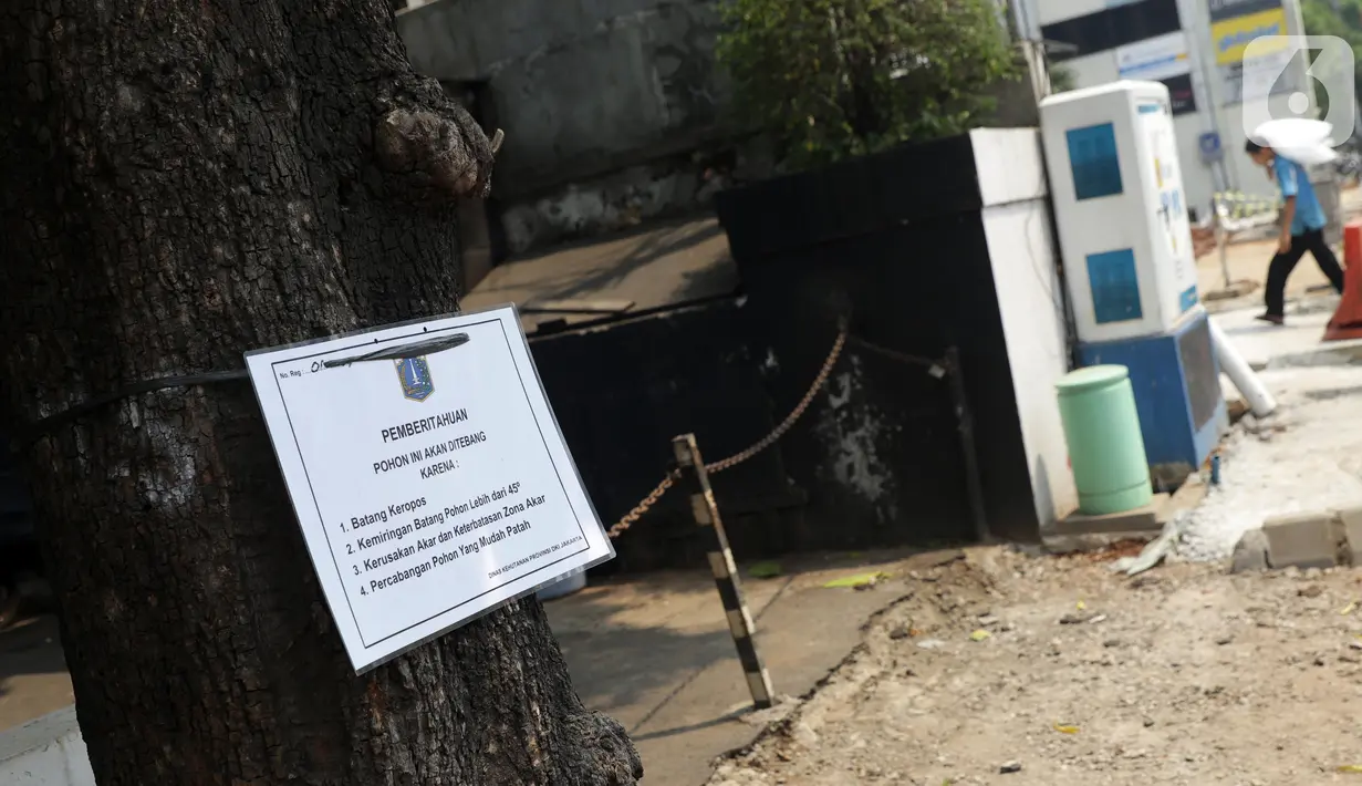 Penanda berlogo Pemprov DKI Jakarta terlihat di salah satu pohon yang akan direvitalisasi di Kawasan Kemang, Jakarta, Sabtu (9/11/2019). Sejumlah pohon akan direvitalisasi dan ditebang karena beberapa alasan salah satunya, kerusakan akar dan keterbatasan zona akar. (Liputan6.com/Helmi Fithriansyah)