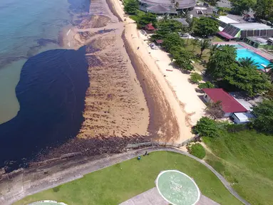 Gambar dari udara tumpahan minyak di Pantai Benua Patra, Balikpapan, Kalimantan Timur, Senin (2/4). Tumpahan minyak disebabkan oleh pipa bawah laut Pertamina yang pecah. (AFP)