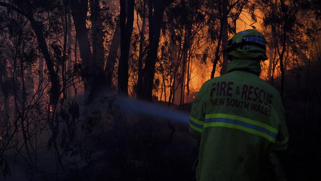 Kebakaran hutan di Australia.