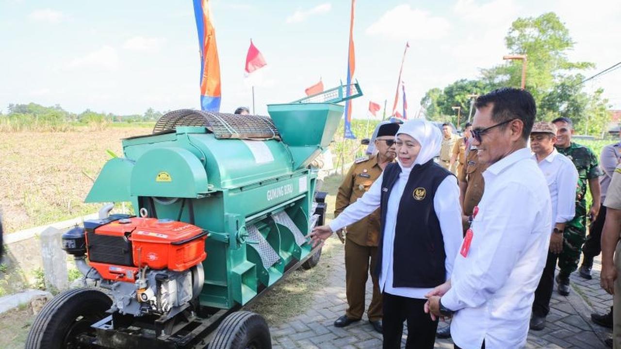 Fakta Unik: Combine Harvester Bisa Panen 1 Hektar dalam 2 Jam! Gubernur Khofifah Serahkan Bantuan Alat Mesin Pertanian di Blitar