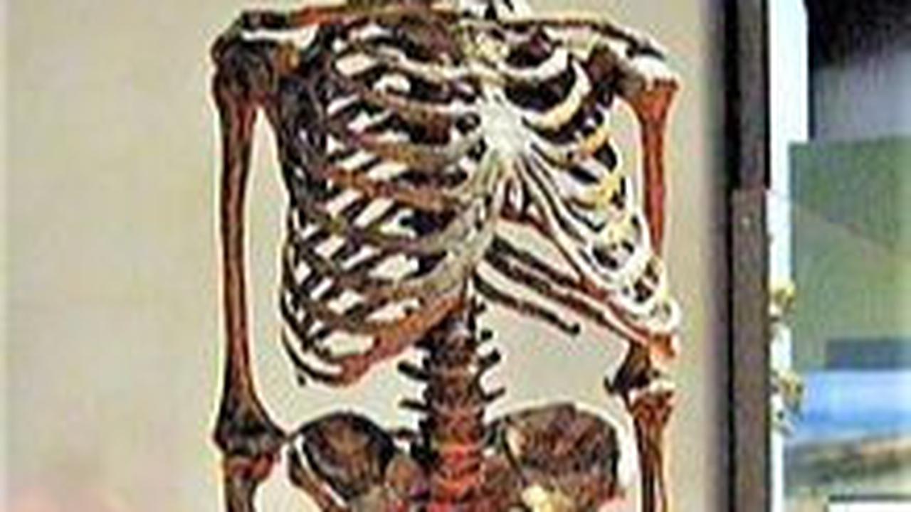 Studi Terbaru Buktikan Manusia Purba Neanderthal Berburu Singa 48.000 Tahun Lalu