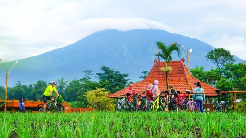 Nendes Kombet Cafe, Restoran Tengah Sawah di Malang yang Tersertifikasi CHSE