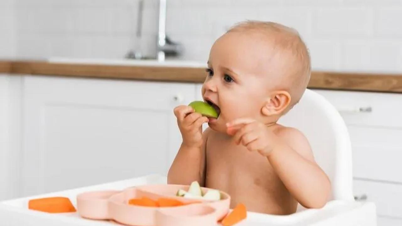 Tahapan Bayi Usia 9-11 Bulan