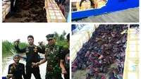 Perahu Penyelundup Ribuan Kepiting Disergap di Perairan Sebatik