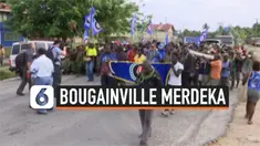 THUMBNAIL BOUGAINVILLE