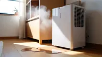 Apa Itu Dehumidifier? Kenali Fungsi, Cara Kerja, dan Manfaatnya bagi Hunian