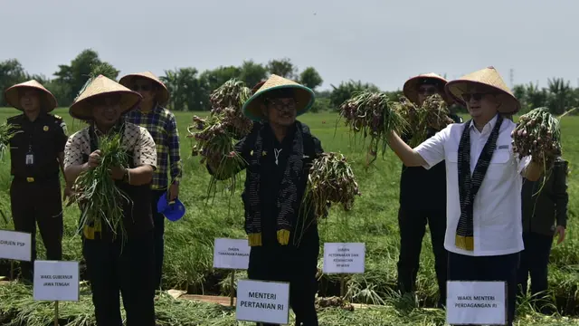 Panen Raya, Mentan SYL dan Wamendag Lepas Pasokan Bawang Merah ke Ibu Kota