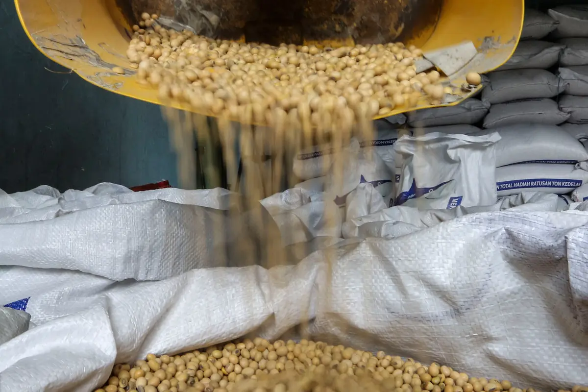 Harga Kedelai Diperkirakan Masih Tinggi
