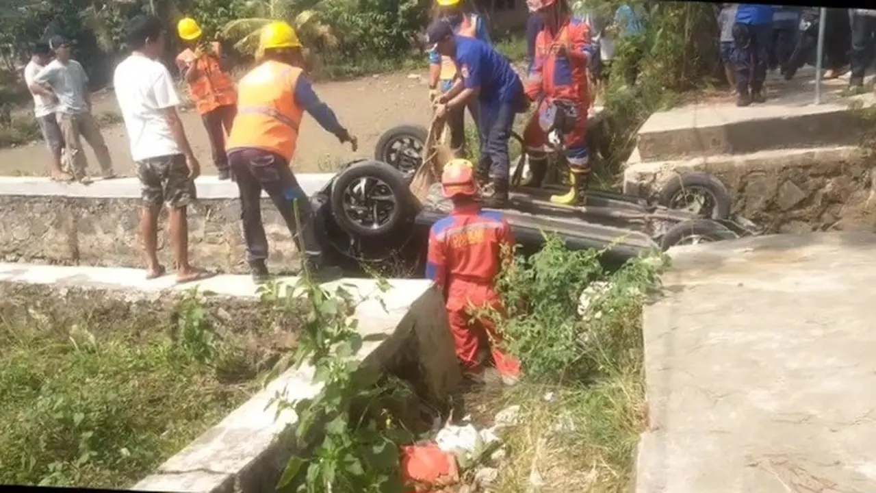 Mobil kecelakaan gara-gara kucing