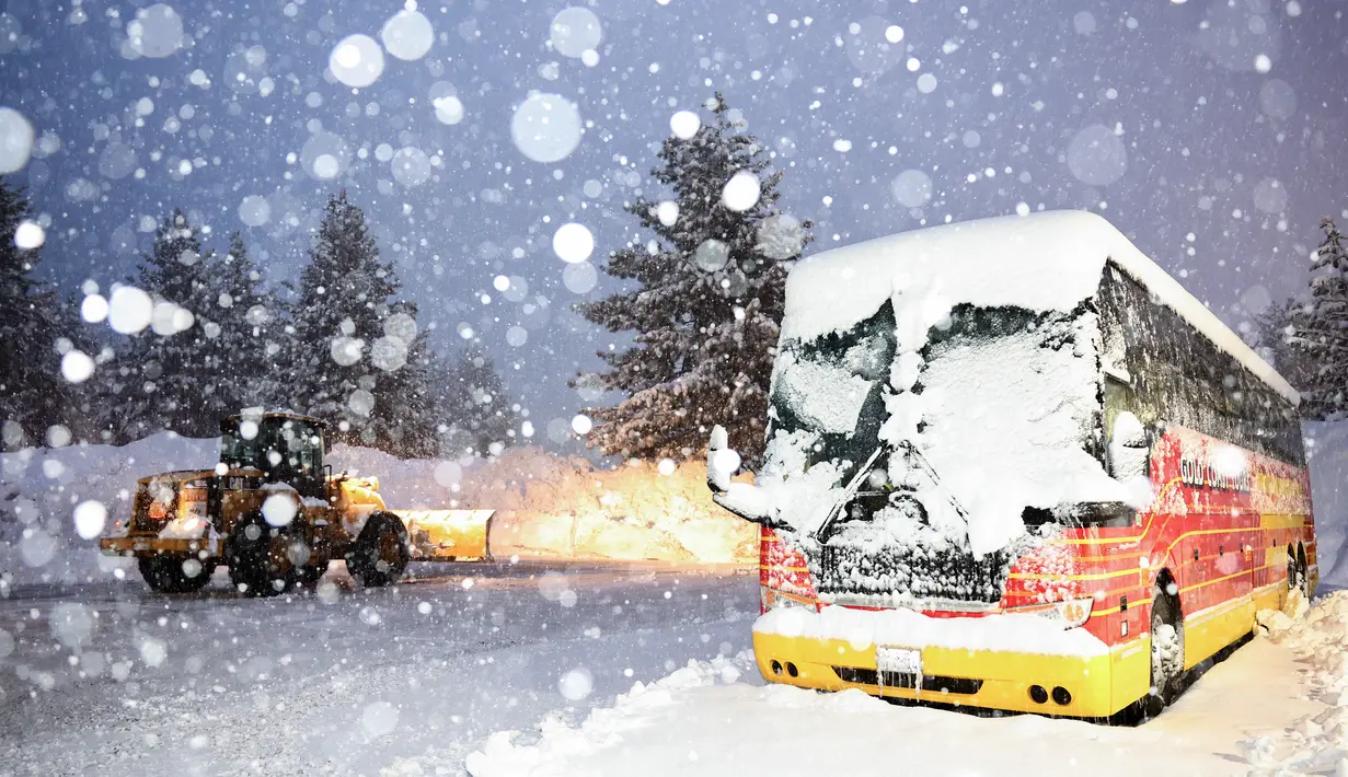 Sebuah bajak salju membersihkan tempat parkir hotel dari salju baru saat fajar, dekat gundukan salju yang menumpuk dari badai sebelumnya, selama badai musim dingin lainnya di pegunungan Sierra Nevada di Danau Mammoth, California pada 10 Maret 2023. Pegunungan Sierra Nevada di California dilanda hujan salju lebat di ketinggian yang lebih tinggi sehingga meningkatkan tingkat tumpukan salju yang sangat besar menjadi lebih tinggi. (Mario Tama/Getty Images/AFP)